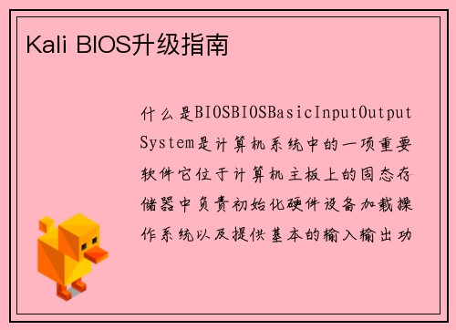 Kali BIOS升级指南