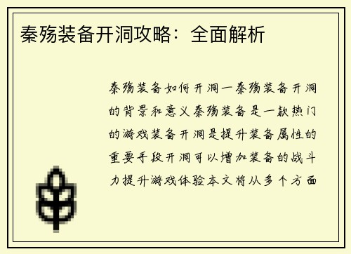 秦殇装备开洞攻略：全面解析